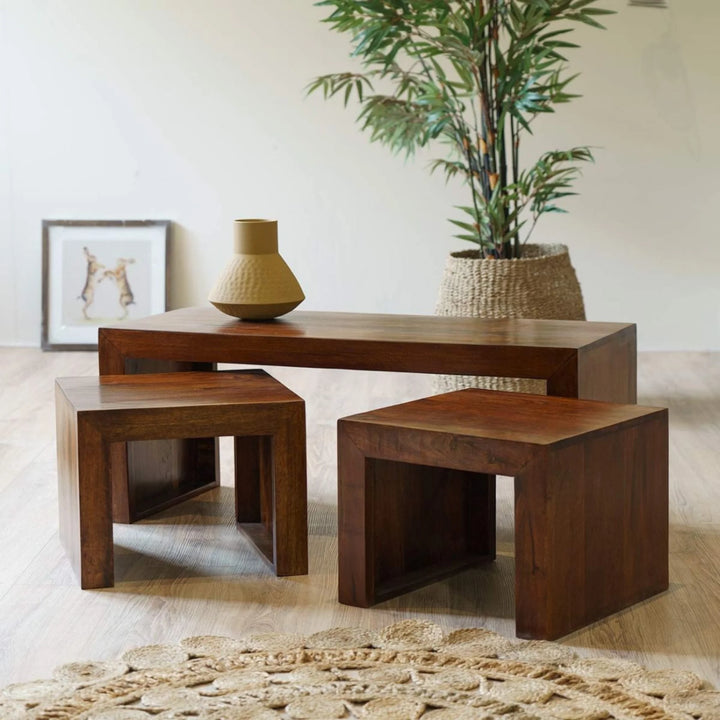 Raya Coffee Table