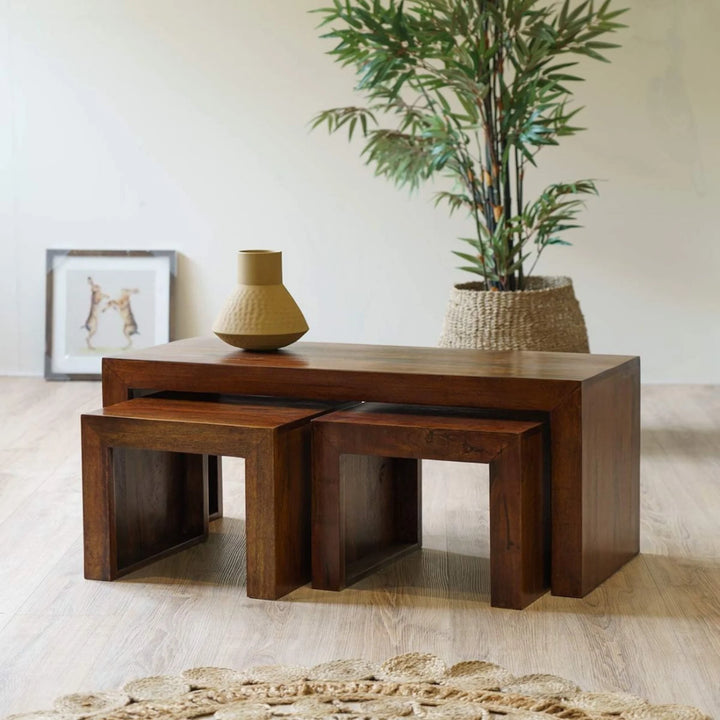 Raya Coffee Table